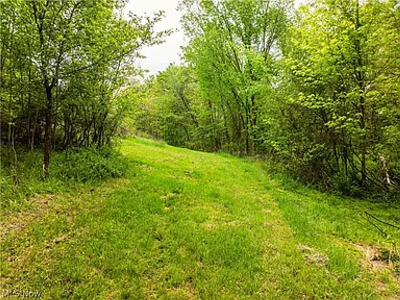 89.5 Acres Lot