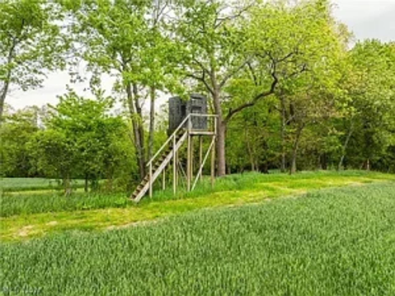 89.5 Acres Lot