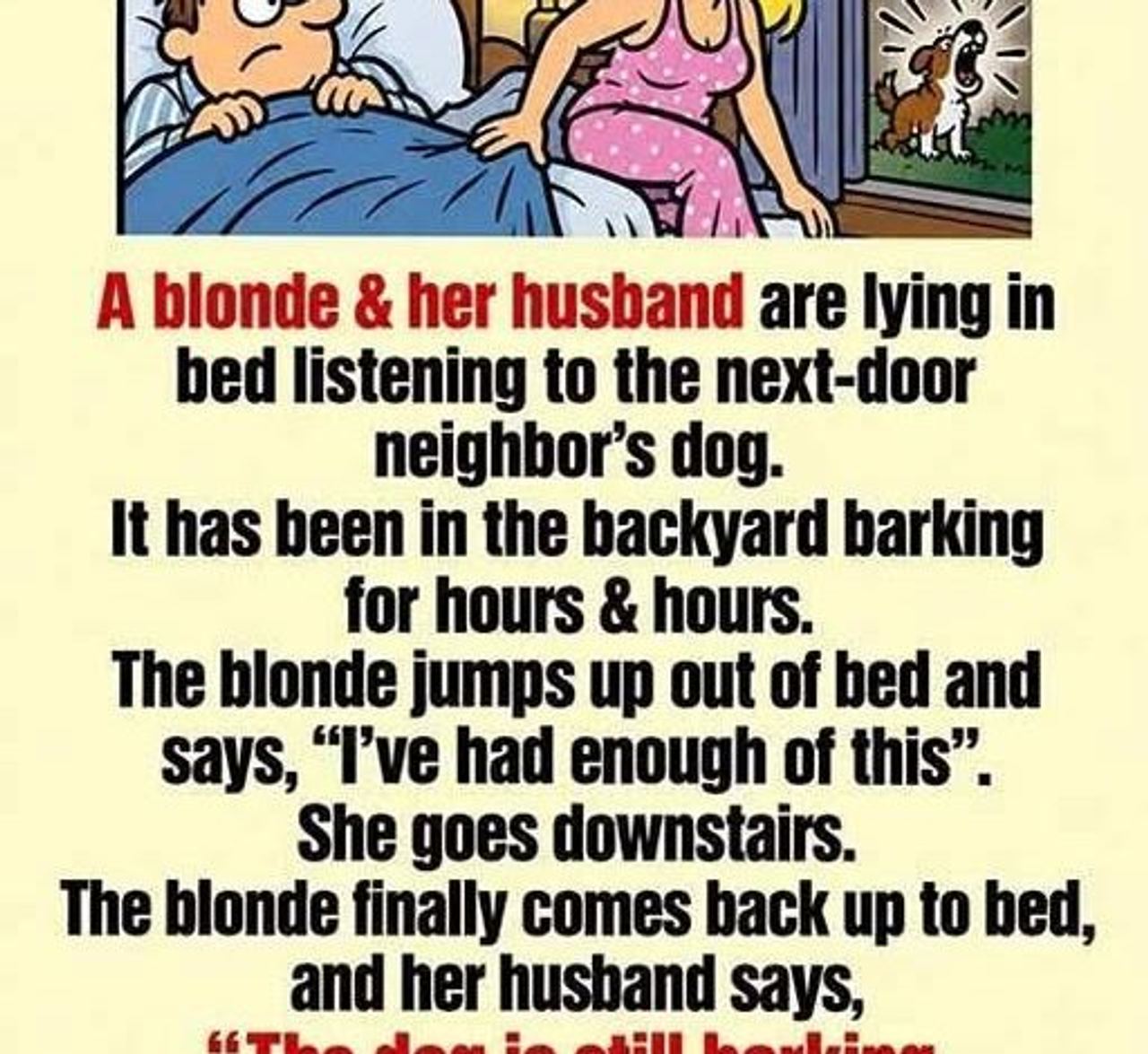 Dealing with a Barking Dog!