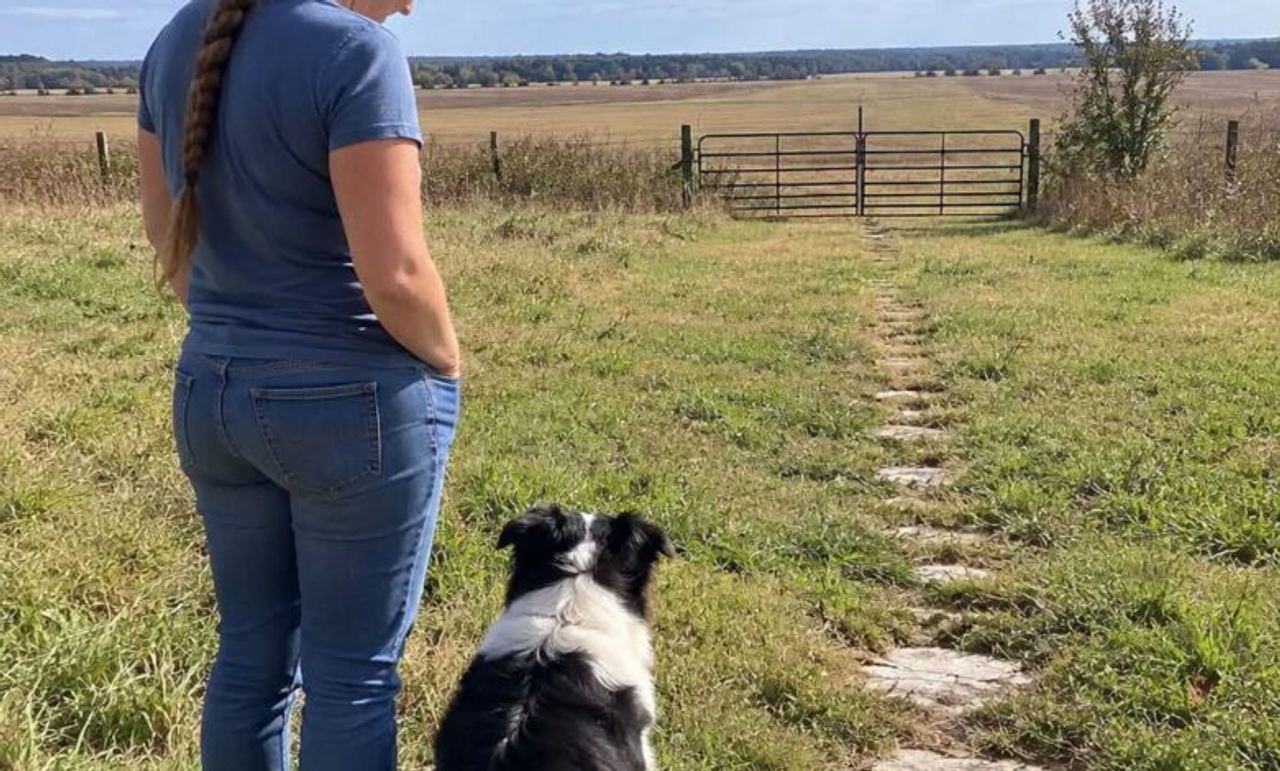 My Brother-in-Law Sold All 212 Hay Bales Three Days After My Husband’s Funeral So I Asked One Question: “Who Bought Them